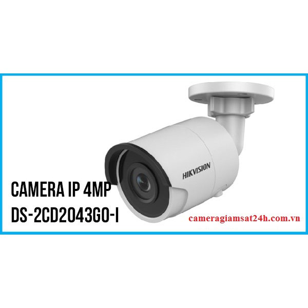 Camera IP 4MP Hikvision DS-2CD2043G0-I