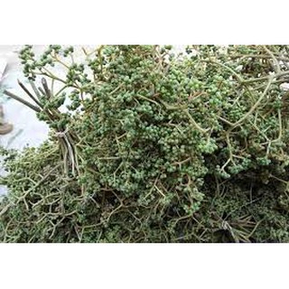 Hạt Mác Khén thơm ngon, vị đậm đà