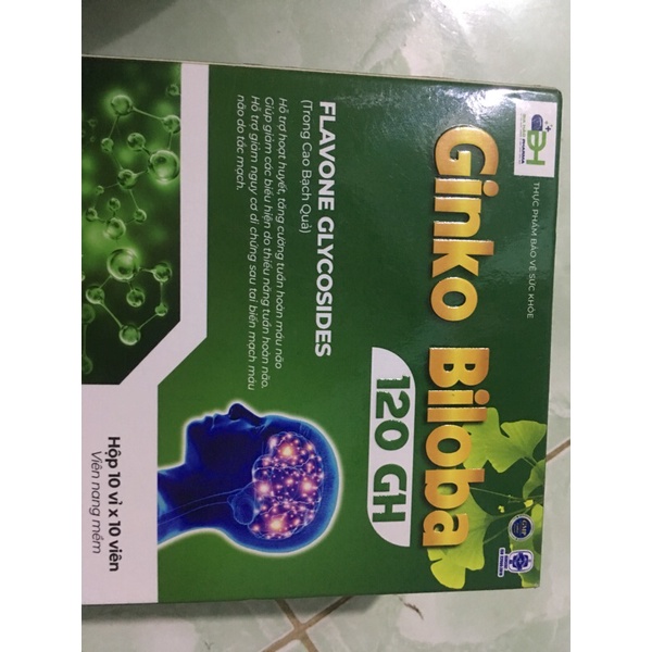 GINKO BILOBA 120GH