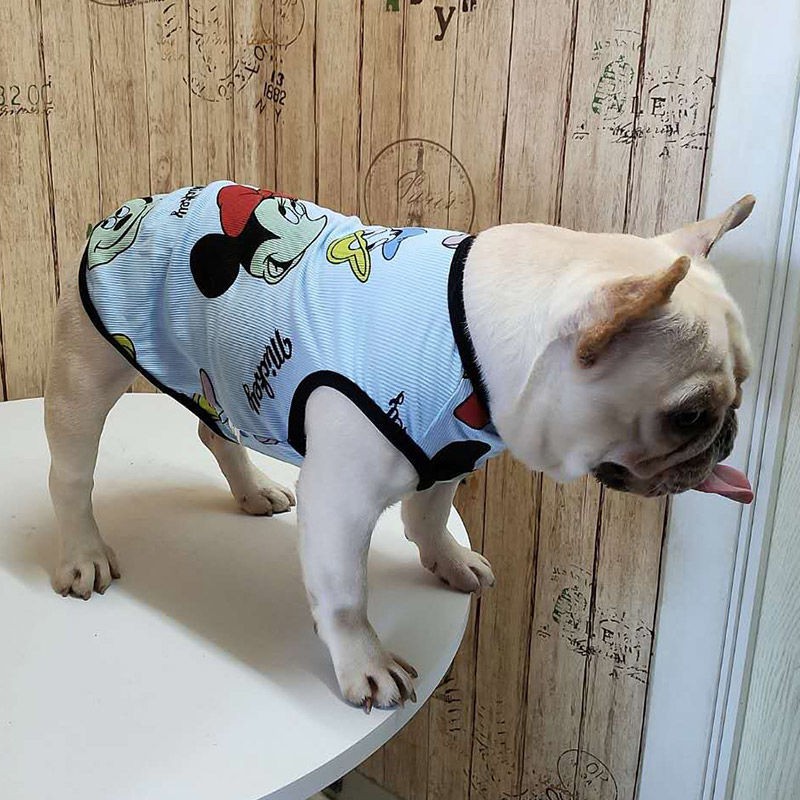 Chiến đấu quần áo mùa xuân và hè mỏng cho chó pug Anh bulldog cỡ trung vest con thú cưng