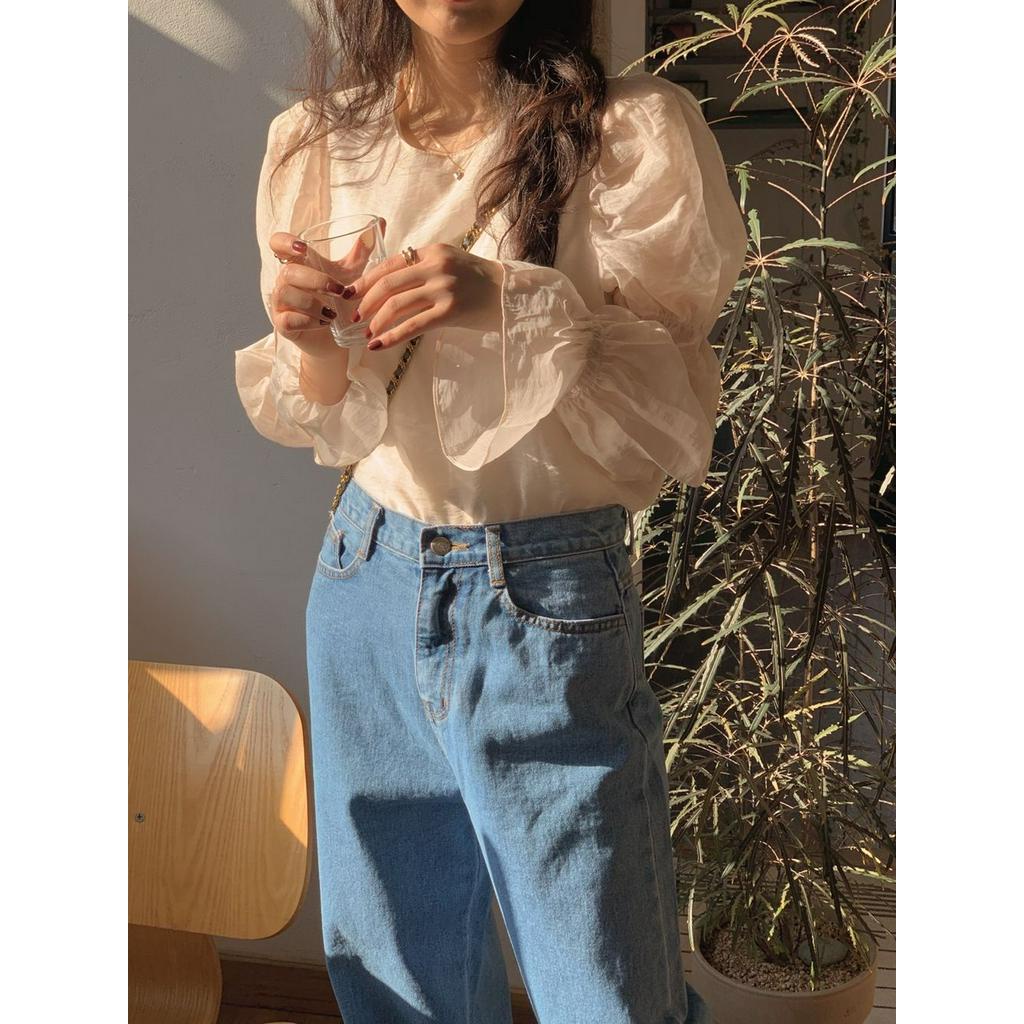 Áo kiểu tay phồng phong cách Hàn Quốc cho nữ 42254