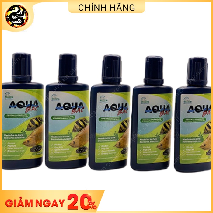 Aqua bạc trị bệnh Cá Rồng, Cá Hổ, Cá Sam | Hoàng Lam Arowana