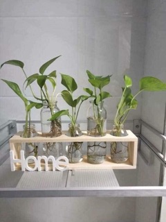 Set 5 lọ hoa