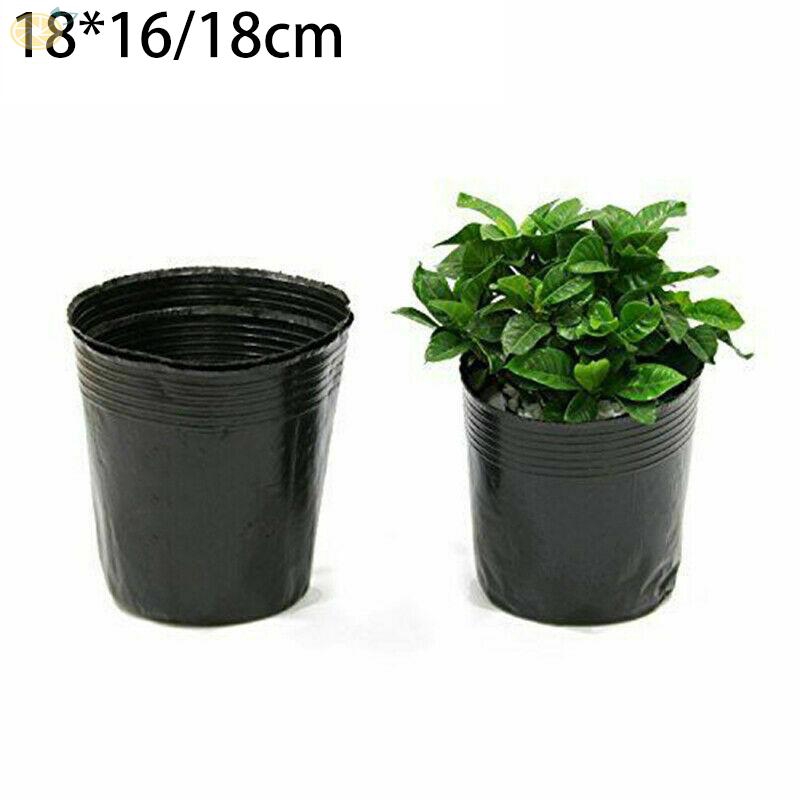 Set 100 Túi Nhựa Trồng Cây