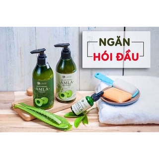 Dầu gội Amla ngăn rụng tóc