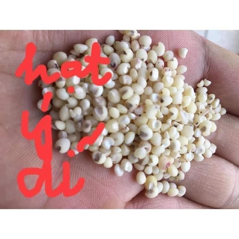 500g hạt ý dĩ - hạt bo bo trắng hàng mới hút chân không đảm bảo ko mối mọt