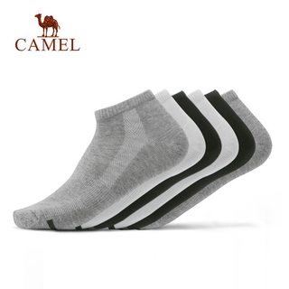 Set 5+1 Đôi Vớ Cotton Thể Thao CAMEL Thoáng Khí Khử Mùi Kháng Khuẩn Cho Nam