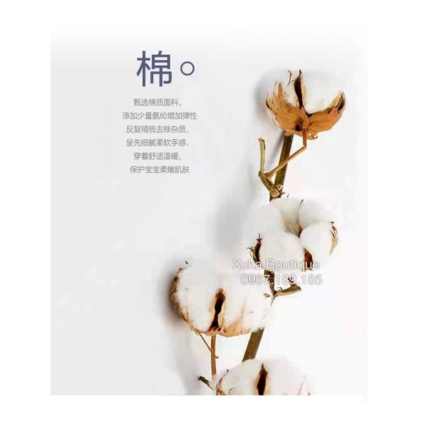 Set Body và Quần cho bé sơ sinh 0-2 tuổi Hàn Quốc Cotton dài tay thu đông
