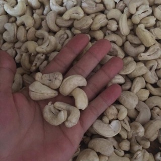 Hạt điều nguyên hạt nhân trắng