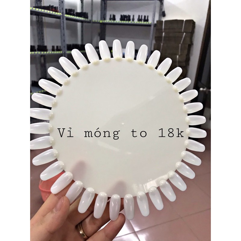 Móng mẫu bản tròn lớn