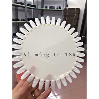 Móng mẫu bản tròn lớn