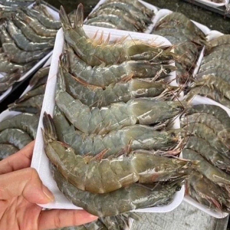500g Tôm lột to đùng