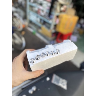 Ốc salaya thailand inox 304 mẫu tbt v3