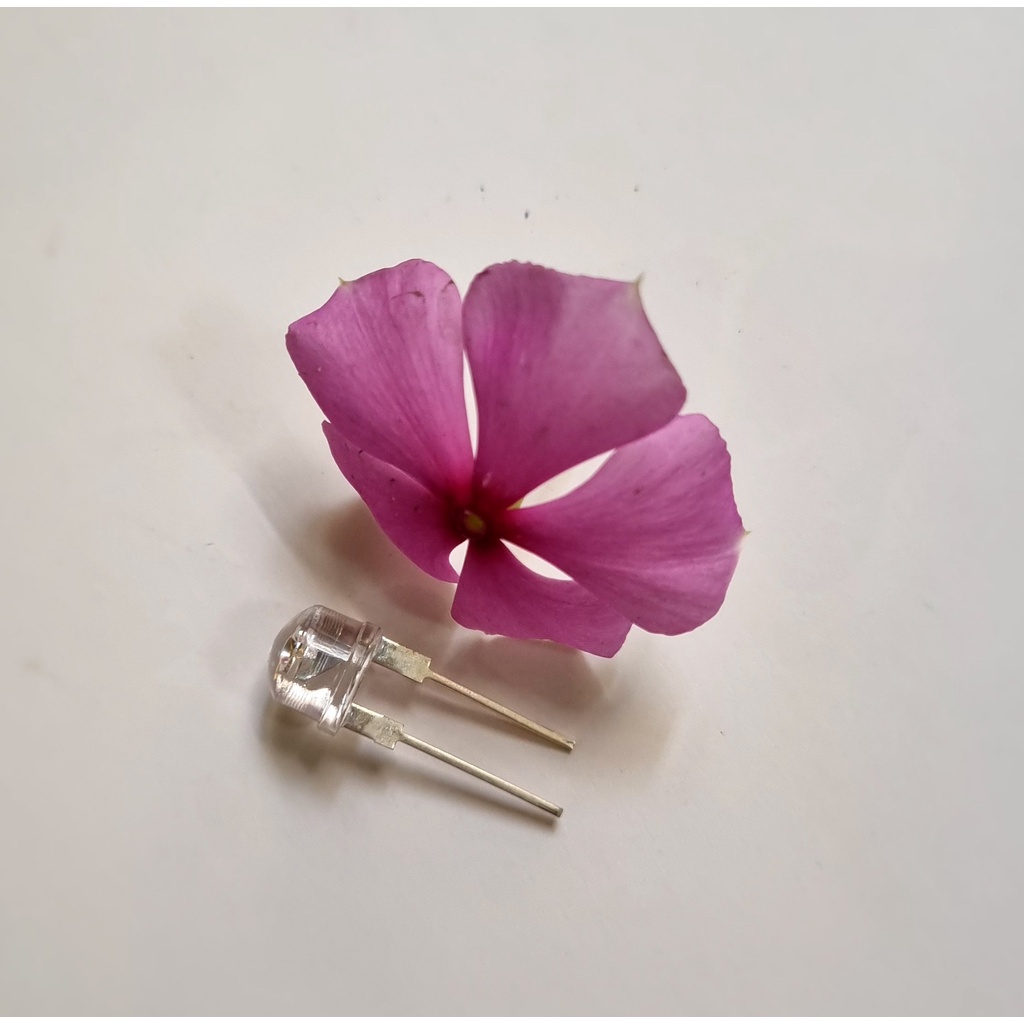 Led lùn 8mm siêu sáng