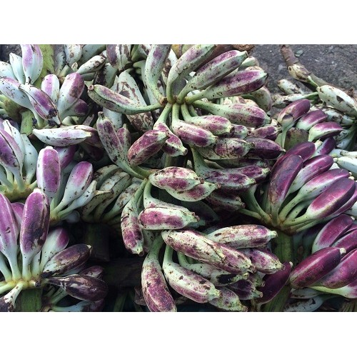 1Kg Chuối Hột Rừng Nguyên Quả [Khô] - Rẻ, Chất Lượng