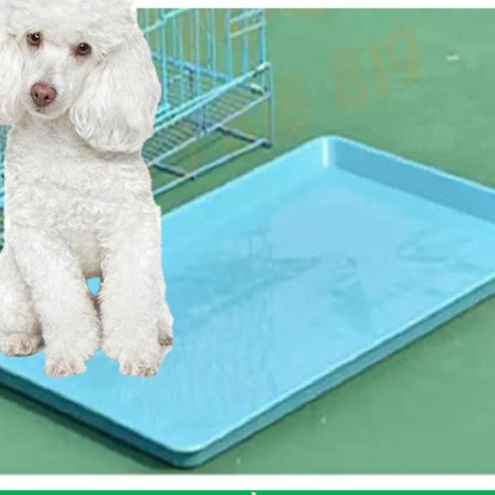 CTVD- Khay vệ sinh thú cưng (Mâm SD60: Size: 57*41cm) Khay nhựa rời có thể làm mâm hứng chuồng chó mèo