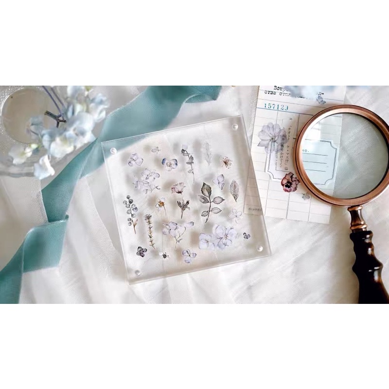 Freckles Tea Vol 1 chiết lẻ chu kỳ 77cm băng dán hình cuộn Spring Tale and Grass