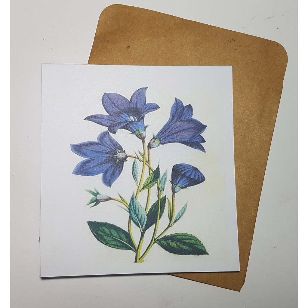 Thiệp phong cách Vintage card quà cám ơn ,chúc mừng sinh nhật và giử t