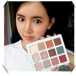 Phấn mắt 12 màu venus