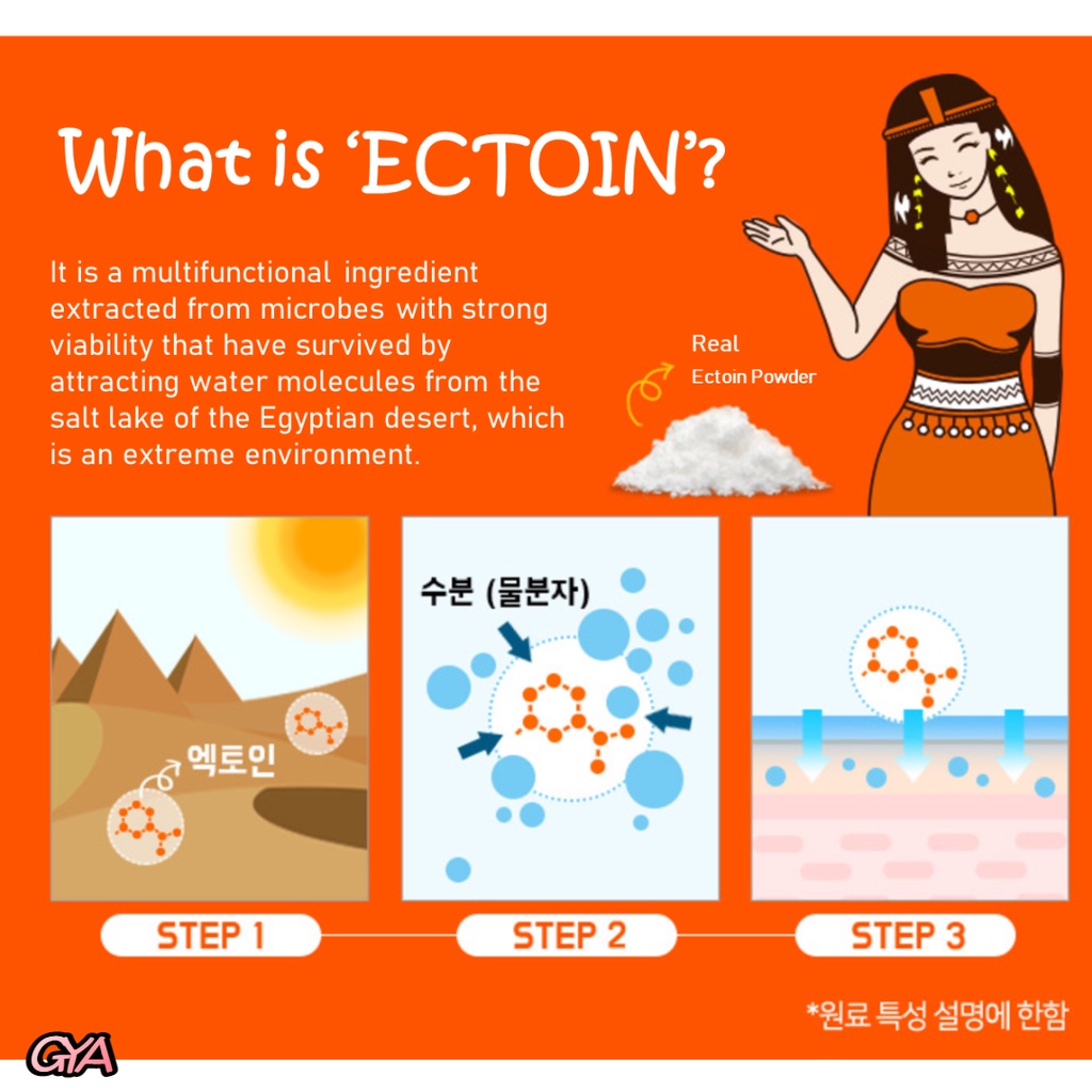 Ectoin Derma Ampoule 12ml /Cream 40ml