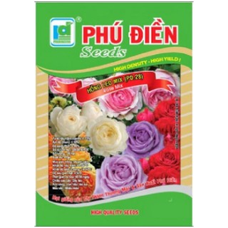 Hạt giống hoa hồng Leo Pháp nhiều màu combo 2 gói