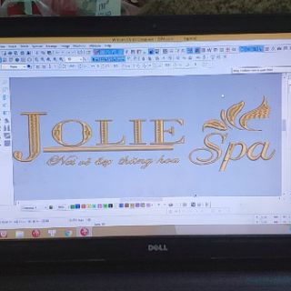 Ga trải trần bông spa.