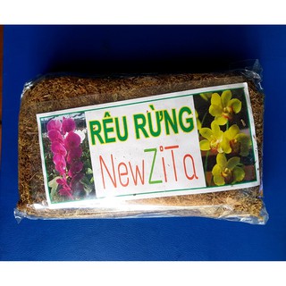 RÊU RỪNG TRỒNG LAN