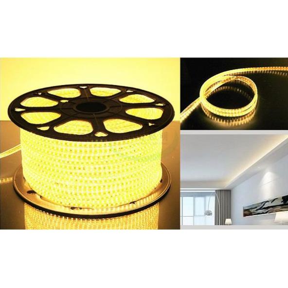 Cuộn 100 mét đèn led dây 3014 trang trí trong nhà, ngoài trời