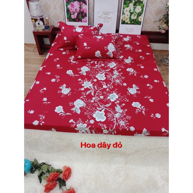 Sét Ga và 2 vỏ gối đầu Cotton lụa mẫu Hoa dây đỏ