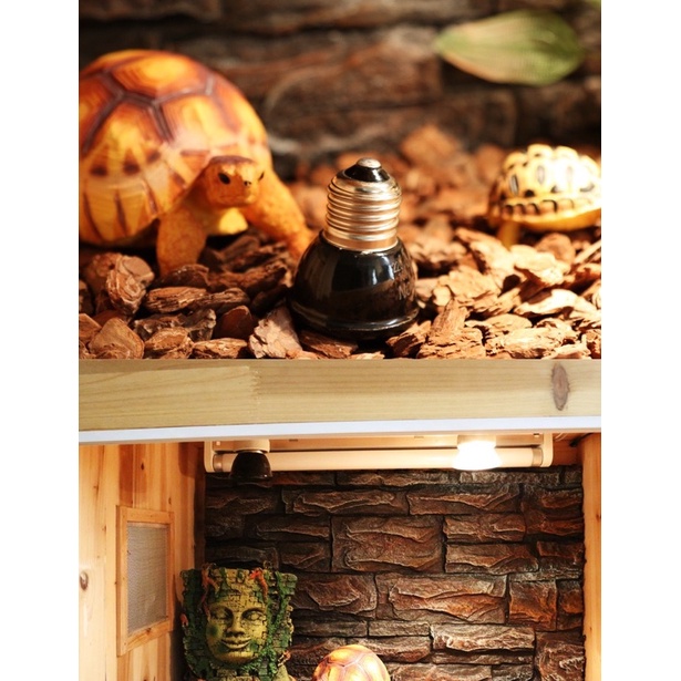 Đèn sưởi đêm mini - đèn sưởi sứ mini cho bò sát thú cưng Nomoy Pet