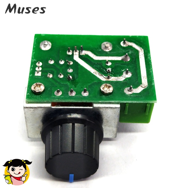 Mô Đun Điều Chỉnh Tốc Độ Điện Áp 2000W 220V Chất Lượng Cao