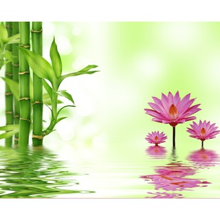 Tranh dán tường 3D Hoa sen 60*90