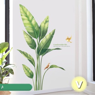 Decal dán tường Cây chuối cảnh trang trí nhà cửa
