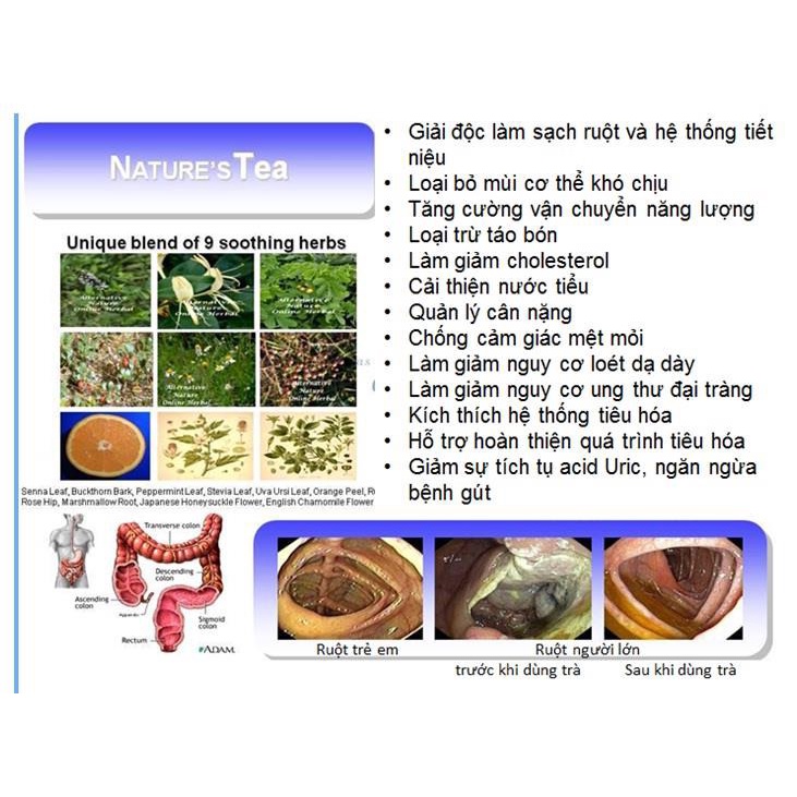 Trà Detox, Thải Độc Ruột Nature's Tea Bảo Vệ Sức Khỏe Hộp 30 Gói x 2Gam