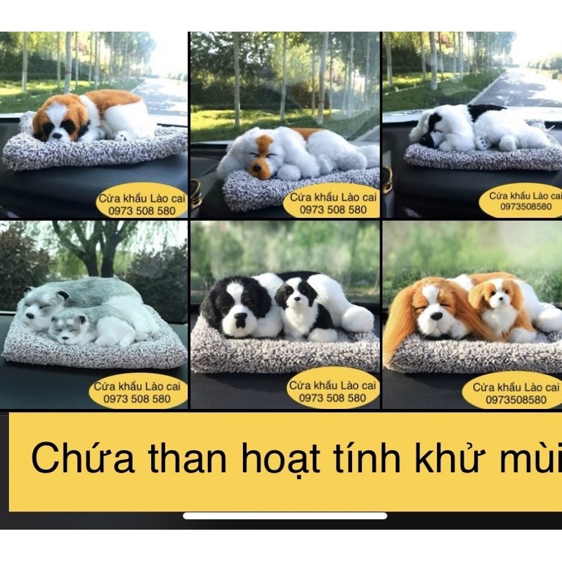 chó đôi để taplo xe oto- chó mèo than hoạt tính Size to