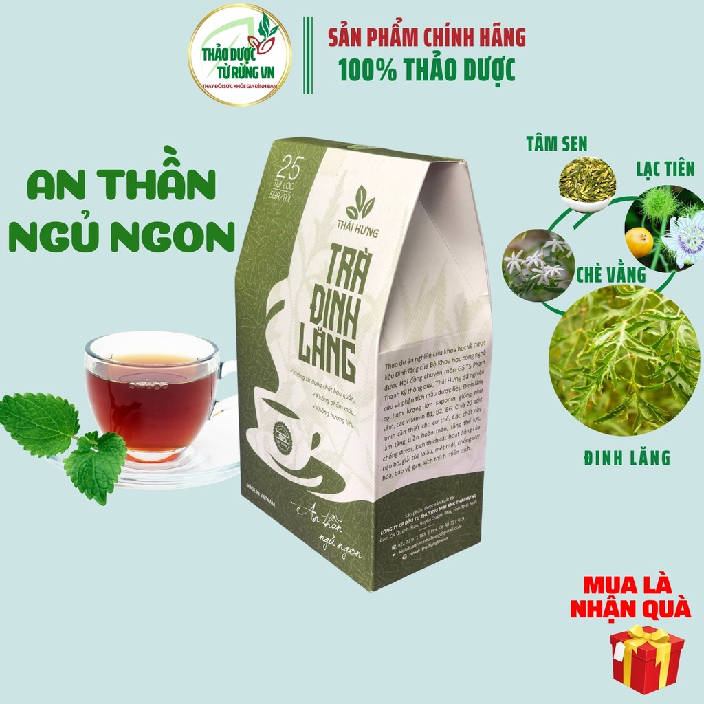 Trà Đinh Lăng Thái Hưng - Trà Thảo Mộc An Thần Ngủ Ngon, Giảm Stress 25 túi lọc 125g Thảo Dược Từ Rừng VN