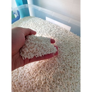 Nếp Sáp Vinh Hiển - túi 1kg