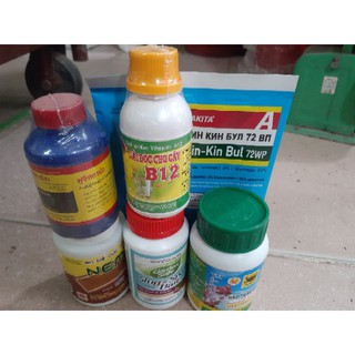Combo bộ 6 sản phẩm chăm sóc hoa lan