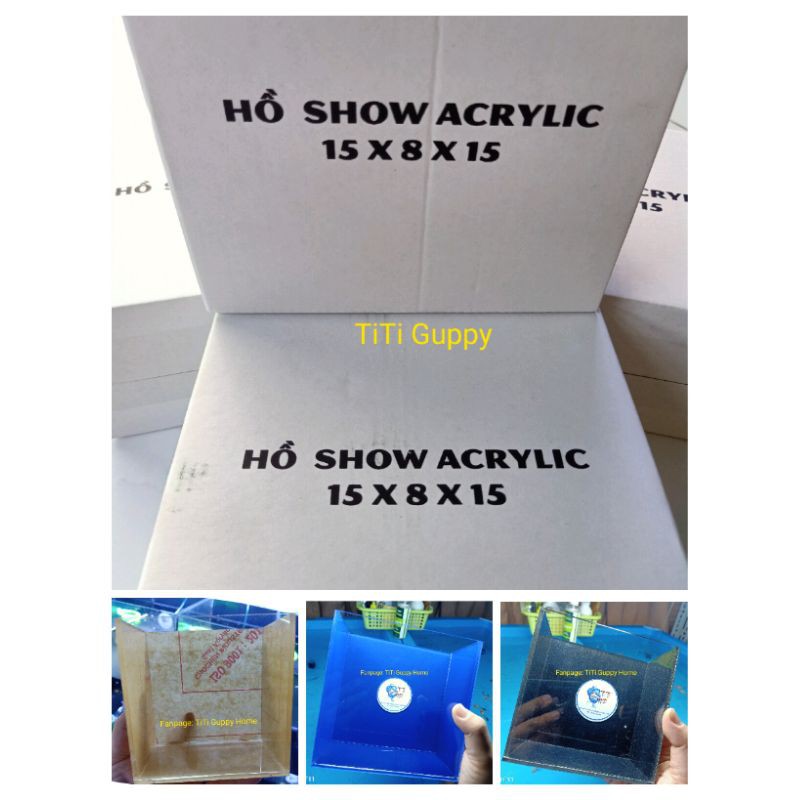 Hồ Show Cá Acrylic
