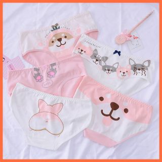 Quần lót cotton nữ hoạt hình chó Corgi dễ thương