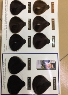 Nhuộm phủ bạc salon pro