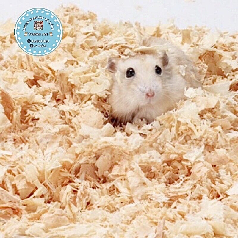 (Freeship) Mùn Cưa Nén Tiệt Trùng thơm nhẹ cho hamster, bọ ú, thỏ, nhím,v.vv (Gói Dùng Thử)