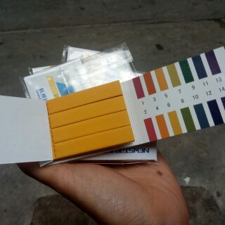 Quỳ tím xấp 20k