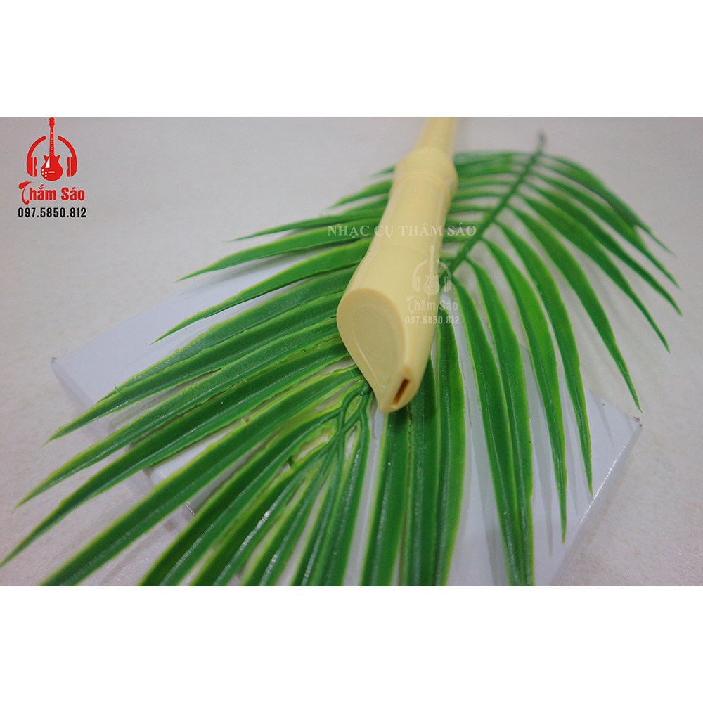 Sáo Dọc Cho Học Sinh Cấp 2- SÁO TRÚC THẮM SÁO