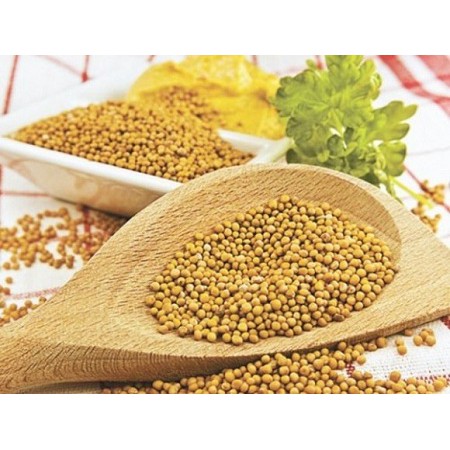 Hạt Mù Tạt Vàng Atlas 1kg/ Yellow Mustard Seed - Nhập Khẩu Đức