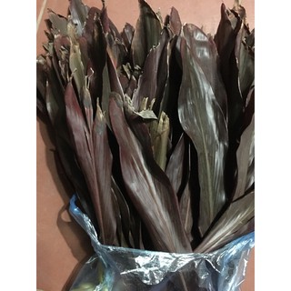 lá huyết dụ tươi 500g