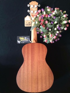 Đàn ukulele concert MT800 CB2