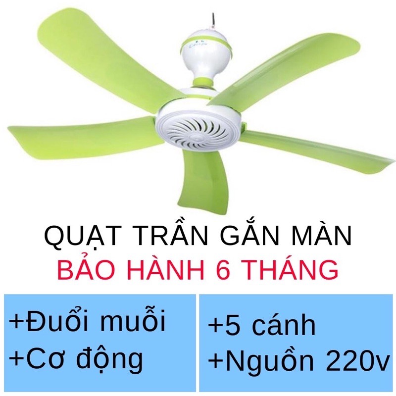 quạt trần mini 5 cánh cắm điện đuổi muỗi và treo màn sải cánh 42mm