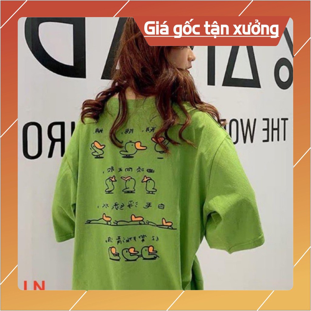 Áo thụng nhiều vịt LN12