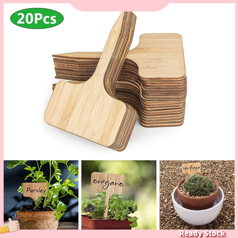 Set 20 Nhãn Tre Đánh Dấu Cây Trồng Hình Chữ T Tiện Dụng